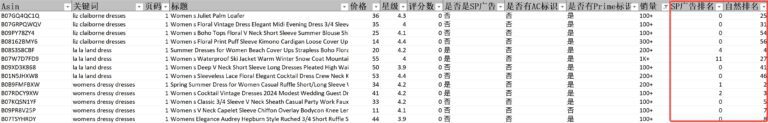 亚马逊ASIN采集工具结果数据展示